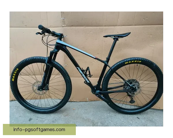 山地车训练实用技巧大揭秘